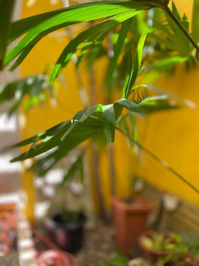 Hotel Center 1 Fortaleza (Ceara)